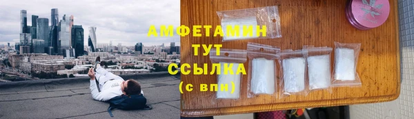 молекула духа Алексеевка