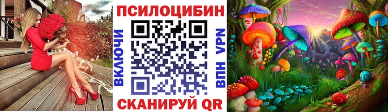 цена   Среднеколымск  Псилоцибиновые грибы Magic Shrooms 